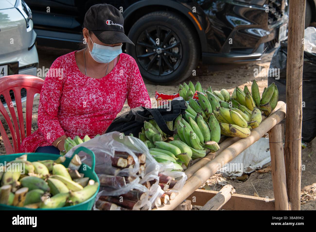 Ein Obststand mit Gesichtsmasken, der Bananen und andere Früchte an Touristen verkauft, im Elephant Camp Karen Ruammit Elephant Care Center in der Nähe von Ban R Stockfoto