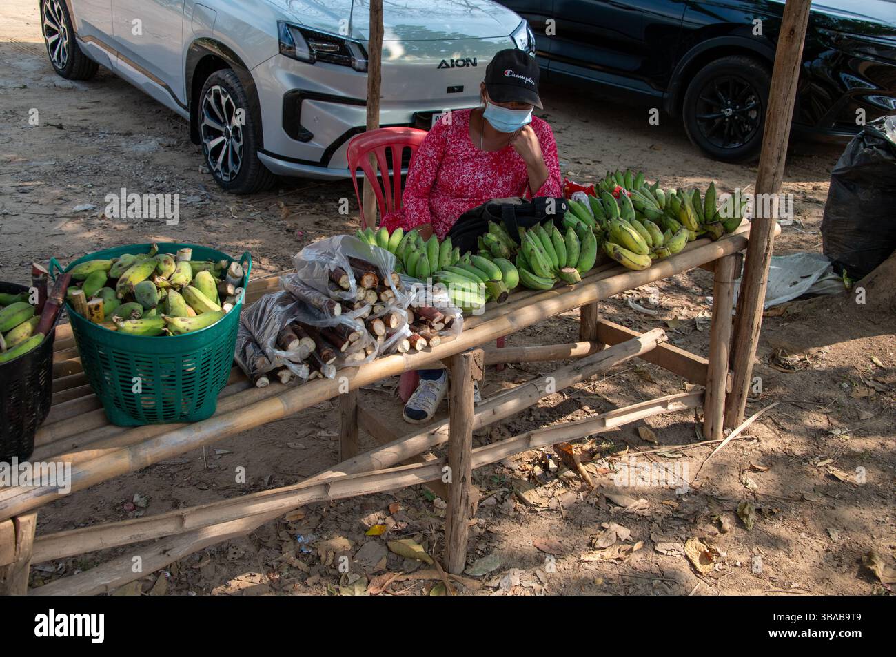 Ein Obststand mit Gesichtsmasken, der Bananen und andere Früchte an Touristen verkauft, im Elephant Camp Karen Ruammit Elephant Care Center in der Nähe von Ban R Stockfoto