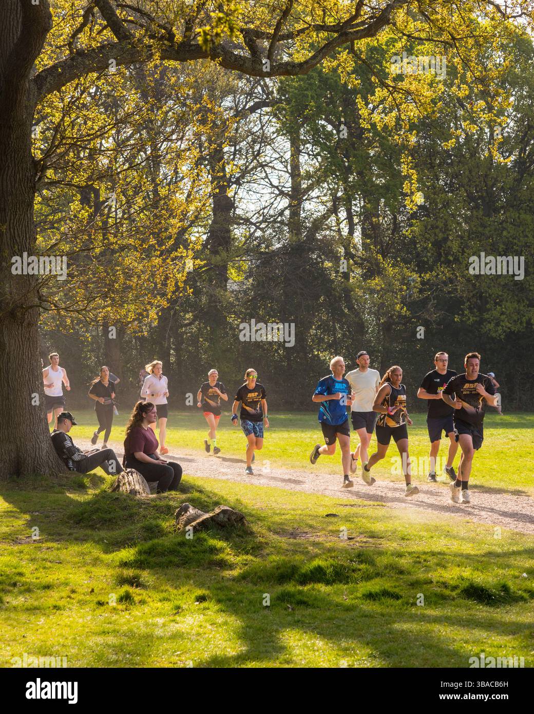 Southampton parkrun findet jeden Samstagmorgen am Southampton Common statt Stockfoto