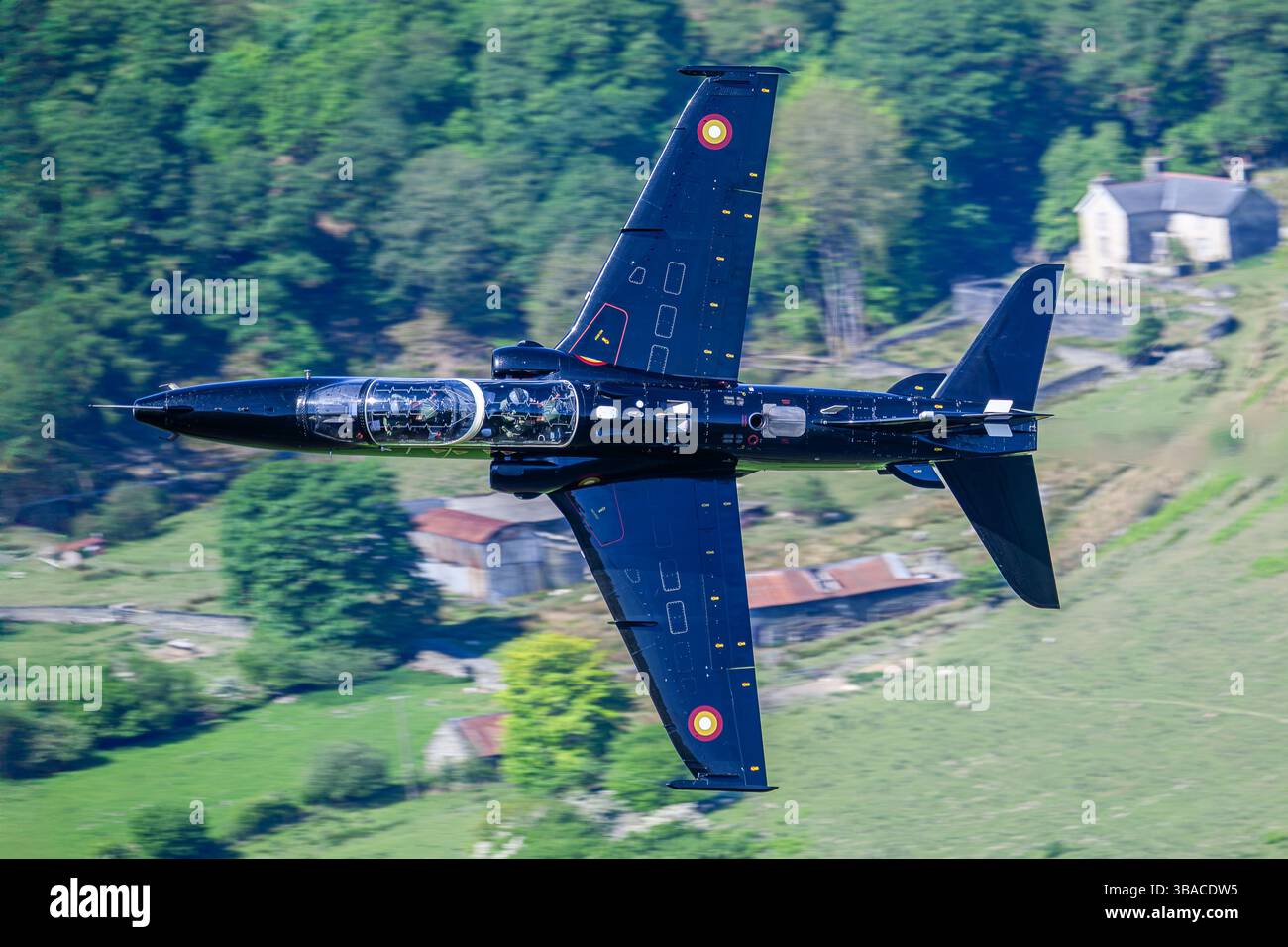 Katar Hawk ZB136 Stockfoto