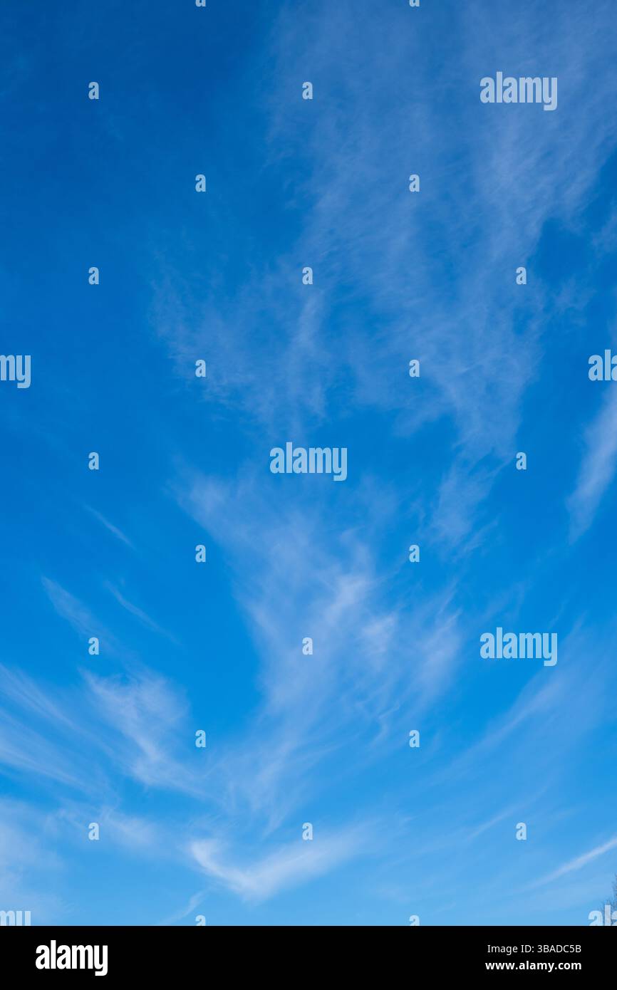 Klarer blauer Himmel mit strahlenden Zirruswolken, bei Tageslicht erfasst. Ideal für Hintergründe, Wetterthemen und Natur- oder atmosphärische Inhalte. Stockfoto