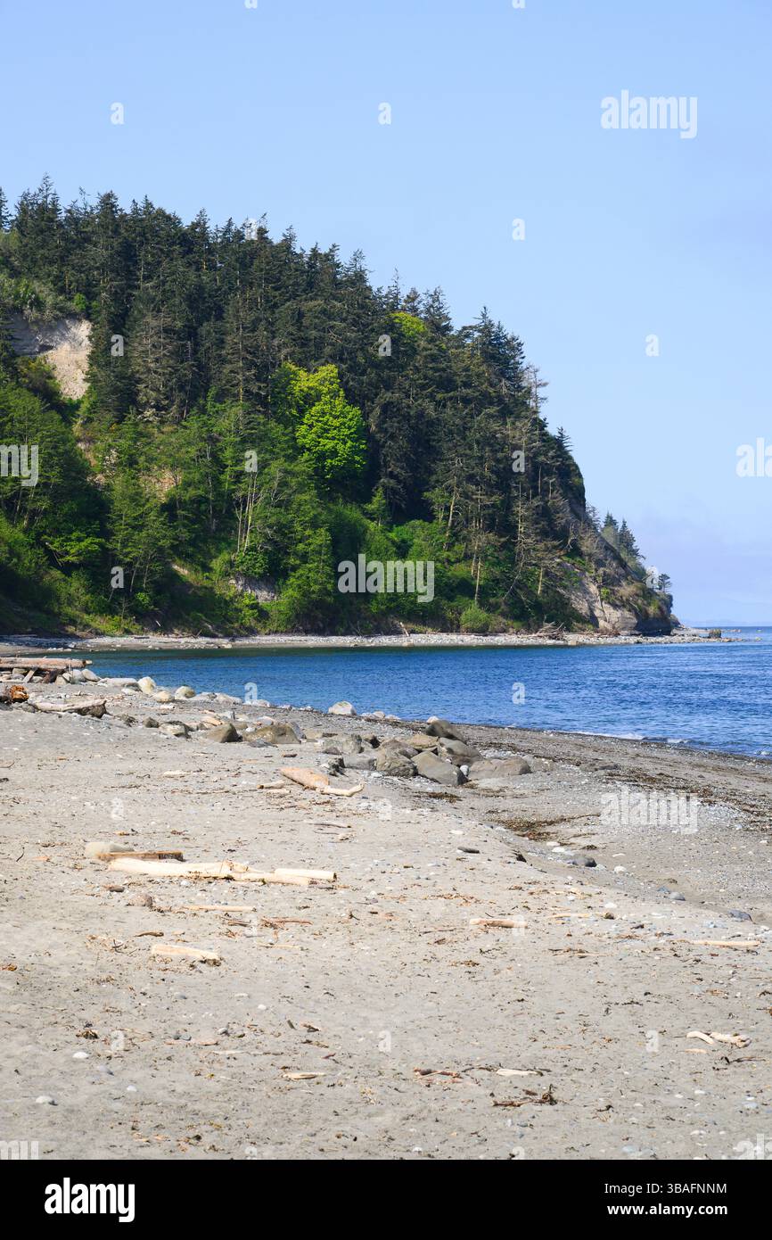 Waldbedeckte Küstenklippe erreicht das Meer am einsamen Strand Stockfoto
