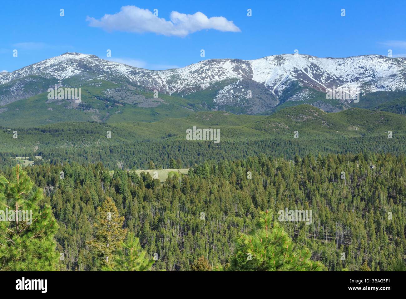 casey Peak (links) und High Peak (rechts) in den elkhorn Mountains bei clancy, montana Stockfoto