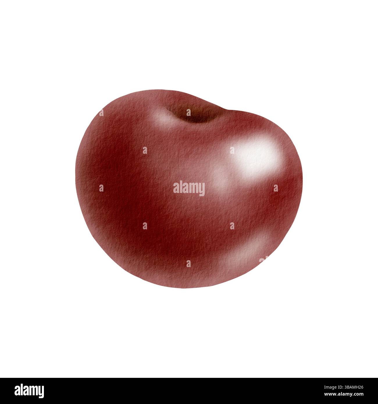 Saftige, reife Kirsche isoliert auf weiß. Lebendige Aquarellfrucht-Illustration mit glänzender Textur für Lebensmittelverpackungen, Sommer-Designs oder gesunden Lebensstil Stockfoto