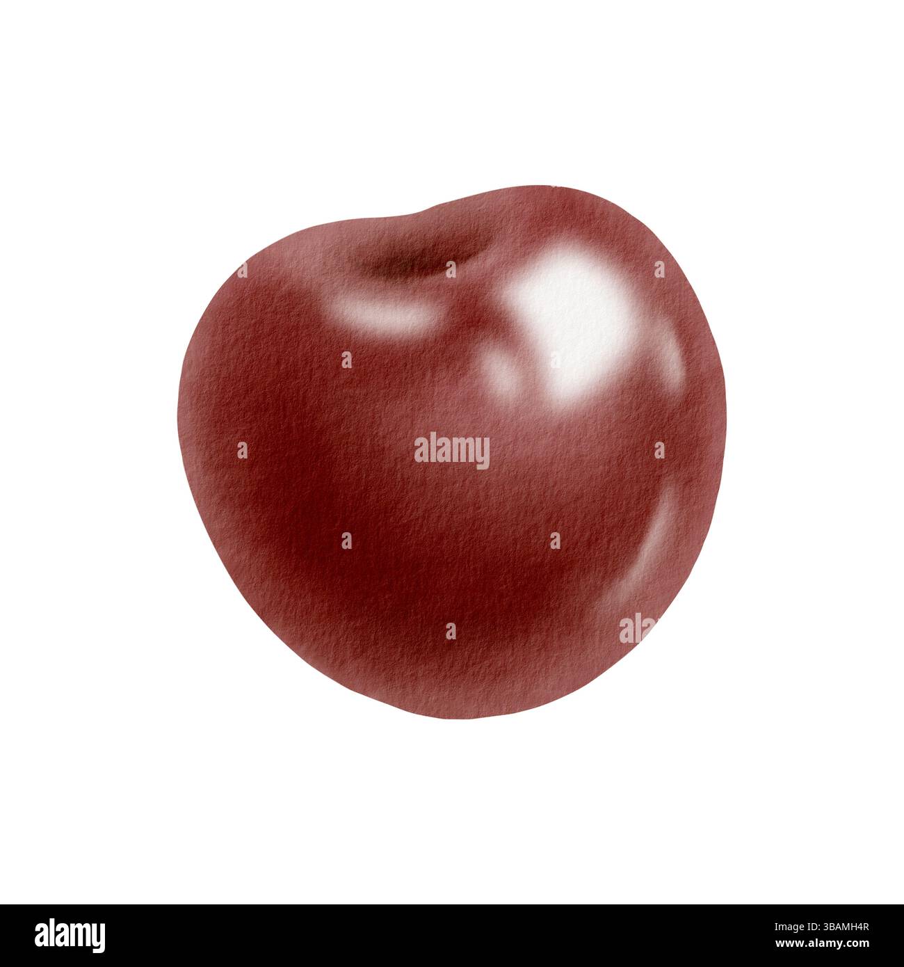 Saftige, reife Kirsche isoliert auf weiß. Lebendige Aquarellfrucht-Illustration mit glänzender Textur für Lebensmittelverpackungen, Sommer-Designs oder gesunden Lebensstil Stockfoto