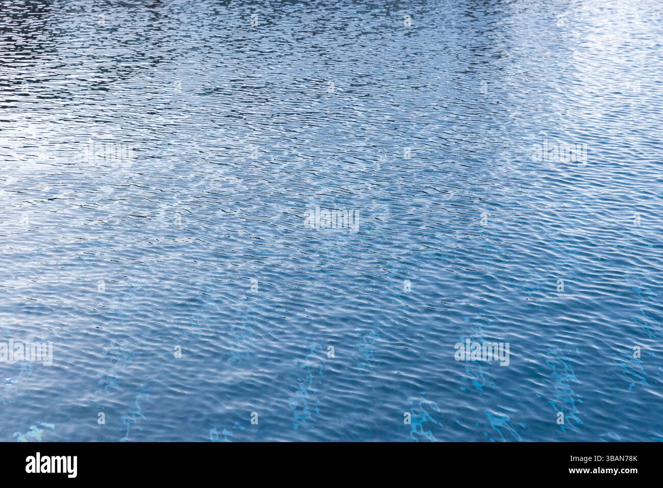 Klares Wasser zeichnet sich durch zarte Kräuselungen aus, die einen klaren blauen Farbton und ruhige Reflexe zeigen. Perfekt für ruhige oder naturbelassene Konzepte Stockfoto