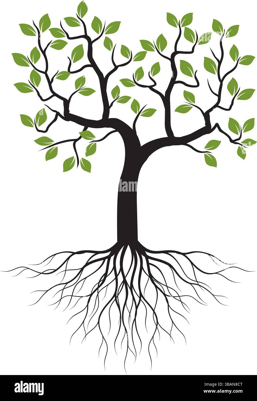 Grüner Baum mit Wurzeln auf weißem Hintergrund isoliert. Stock Vektor