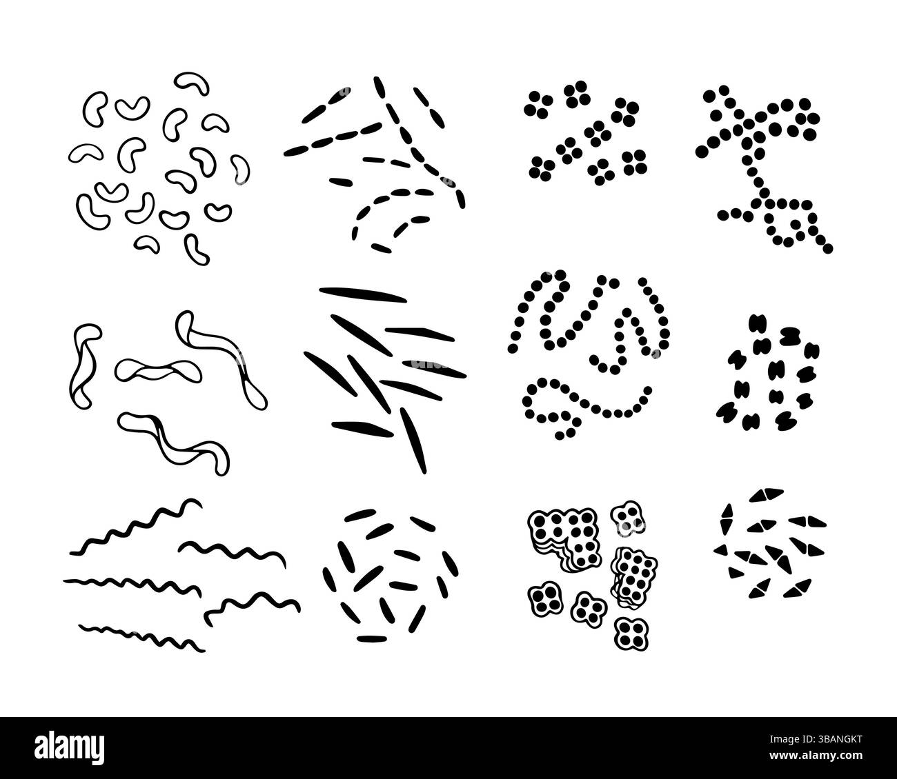 Vektorisolierte Illustration einer Reihe von Bakterientypen: Vibrios und Spirilla. Kokken und stabförmige Bakterien. Stock Vektor