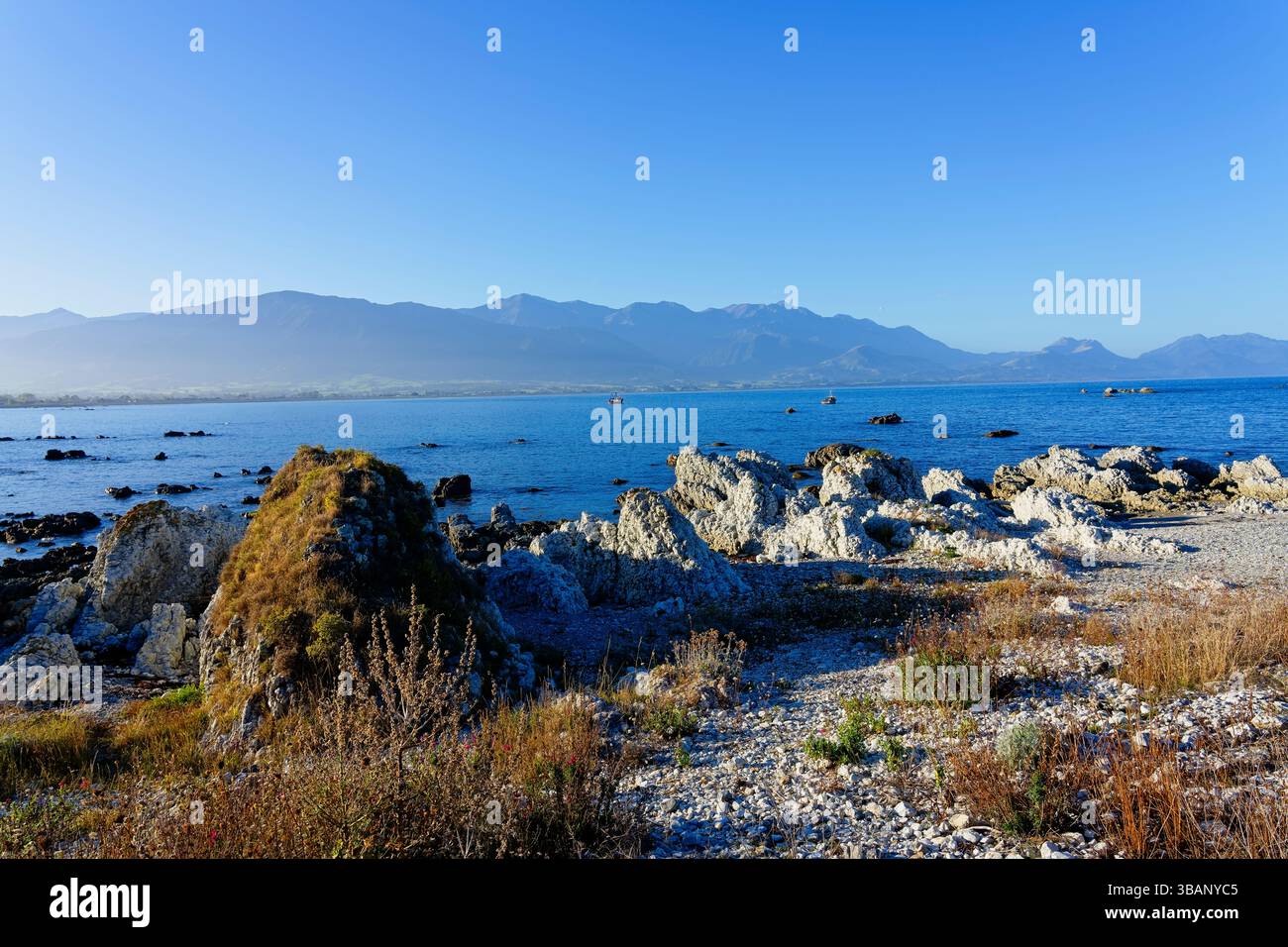 Am Kaikoura Strand zwischen den Felsen an einem beschaulichen Sommerabend. Stockfoto