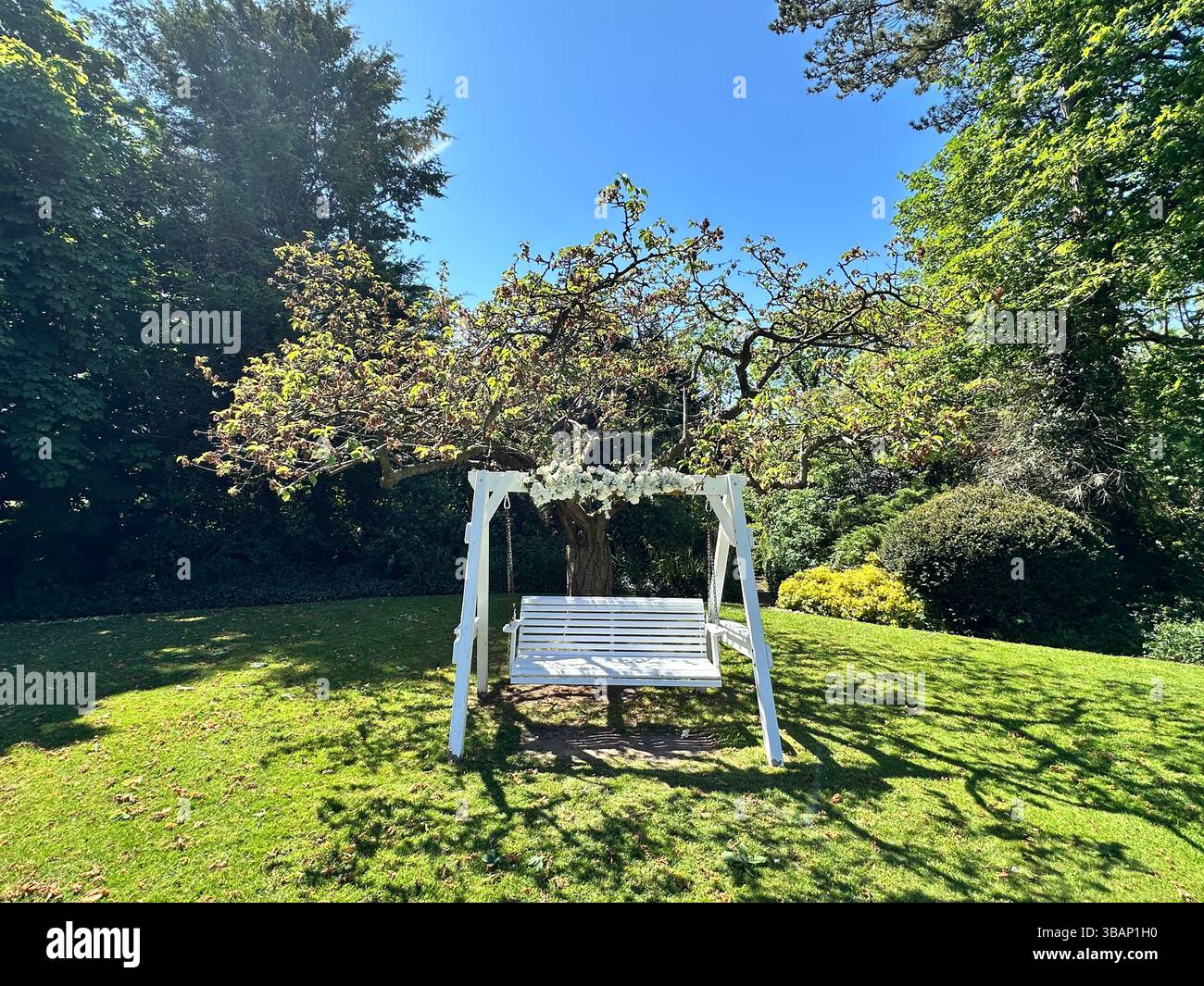 Eine weiße, mit Blumen dekorierte Gartenschaukel aus Holz, die an einem sonnigen Tag in einer Gartenanlage liegt – ideal für Hochzeiten oder Veranstaltungen. - Smartphone-aufgenommenes Stockfoto
