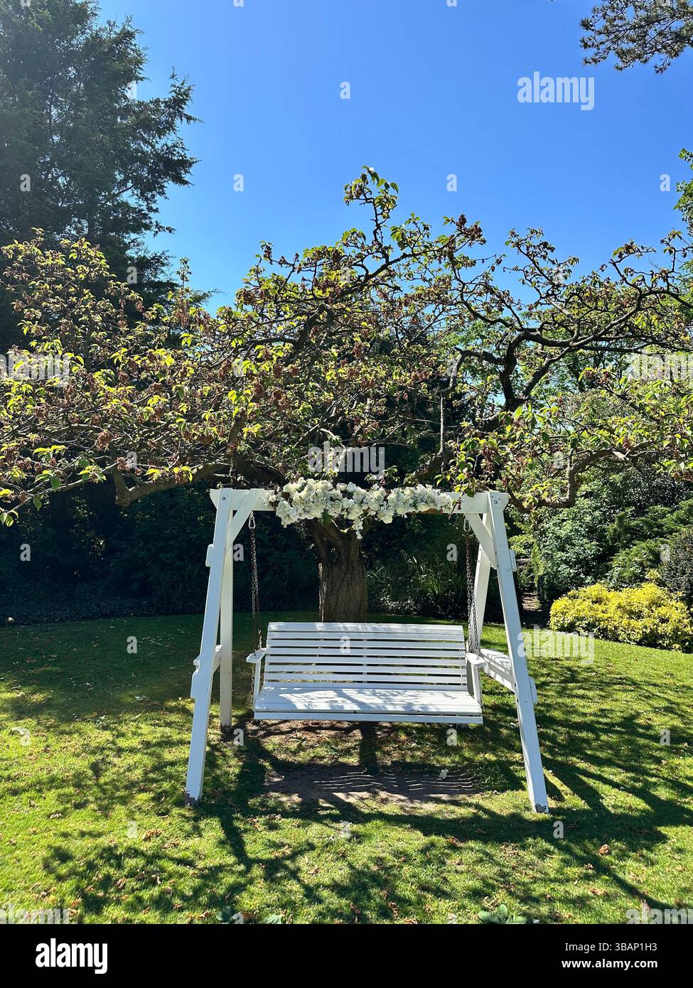 Eine weiße, mit Blumen dekorierte Gartenschaukel aus Holz, die an einem sonnigen Tag in einer Gartenanlage liegt – ideal für Hochzeiten oder Veranstaltungen. - Smartphone-aufgenommenes Stockfoto
