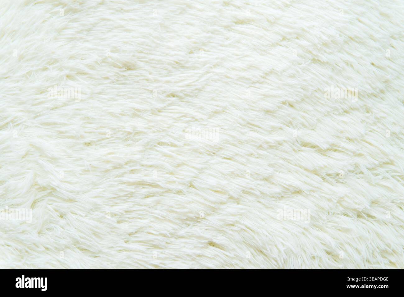 Eine Nahaufnahme zeigt einen flauschigen, weißen Lammfellteppich. Die weichen, strukturierten Fasern schaffen eine dichte und einladende Oberfläche. Stockfoto
