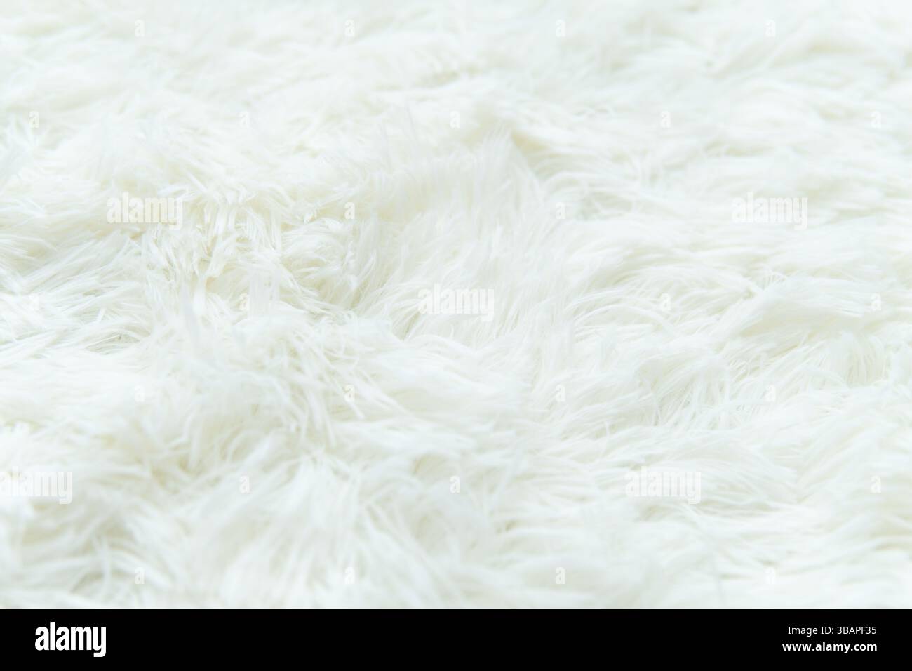 Eine Nahaufnahme zeigt einen flauschigen, weißen Lammfellteppich. Die weichen, strukturierten Fasern schaffen eine dichte und einladende Oberfläche. Stockfoto