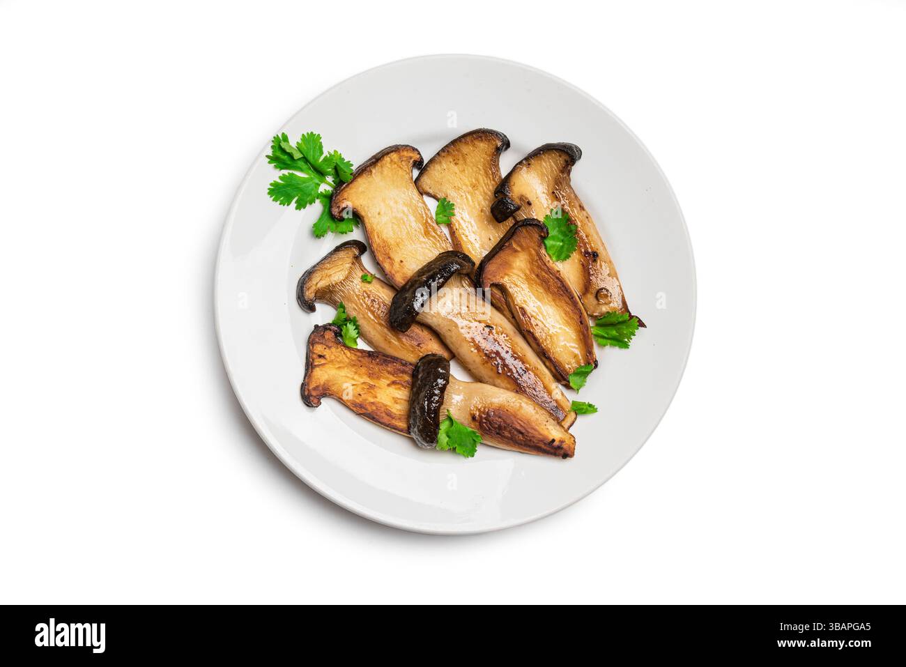 Gegrilltes King Oyster Mushroom Steak, das auf einem Teller isoliert auf weißem Hintergrund serviert wird. Gesundes veganes vegetarisches Essen, Quelle für pflanzliches Protein, Eryngi Stockfoto
