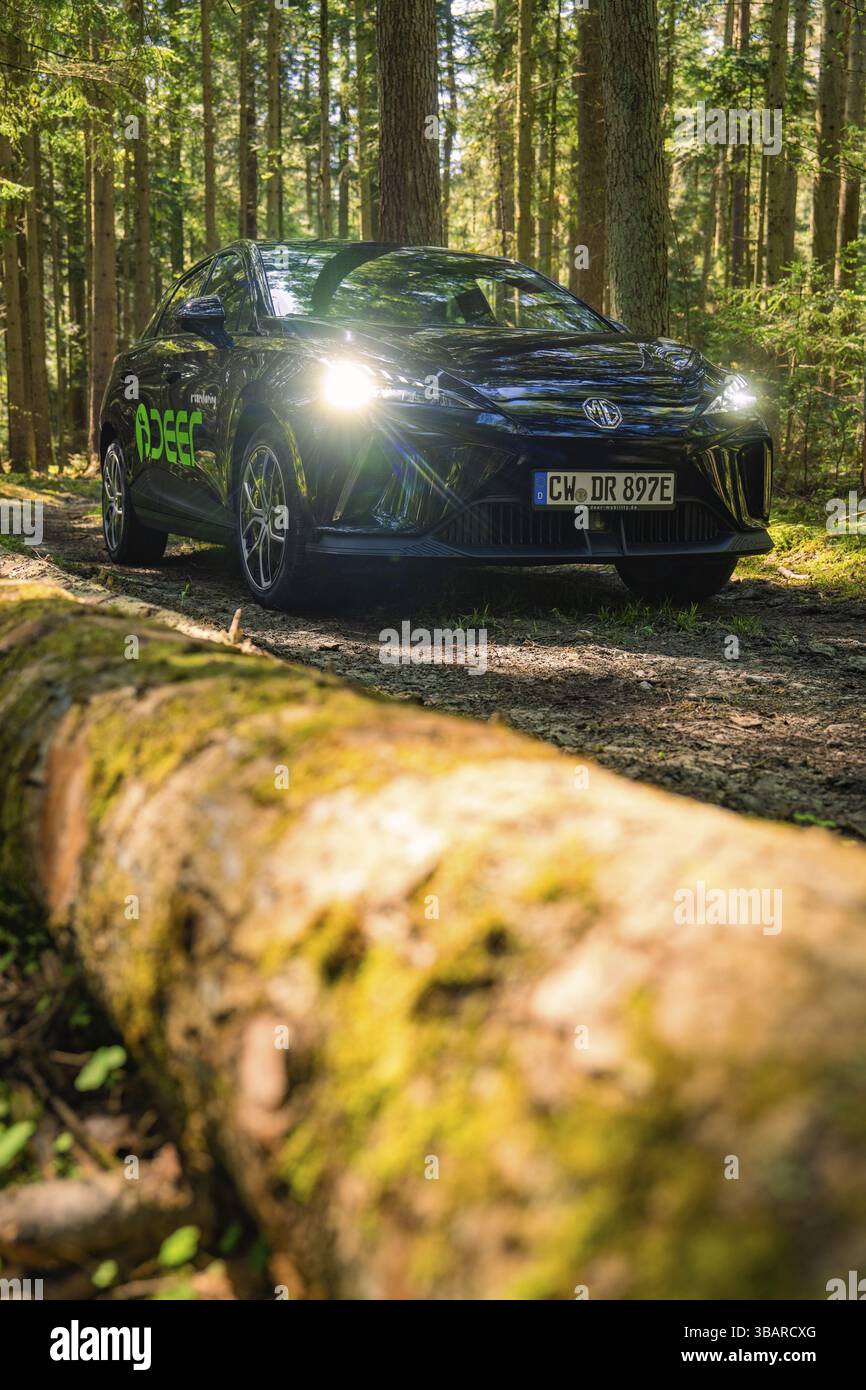 Schwarzfahrzeug mit eingeschalteten Scheinwerfern auf einem Waldweg, Deer E- Carsharing, Calw, Schwarzwald, Deutschland, Europa Stockfoto