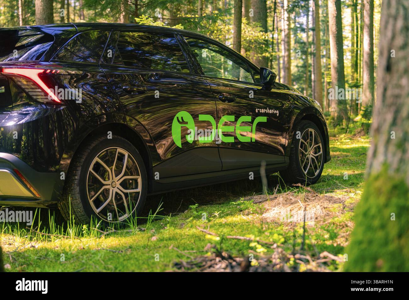 Seitenansicht eines schwarzen Autos im sonnendurchfluteten Wald, Deer E-Carsharing, Calw, Schwarzwald, Deutschland, Europa Stockfoto