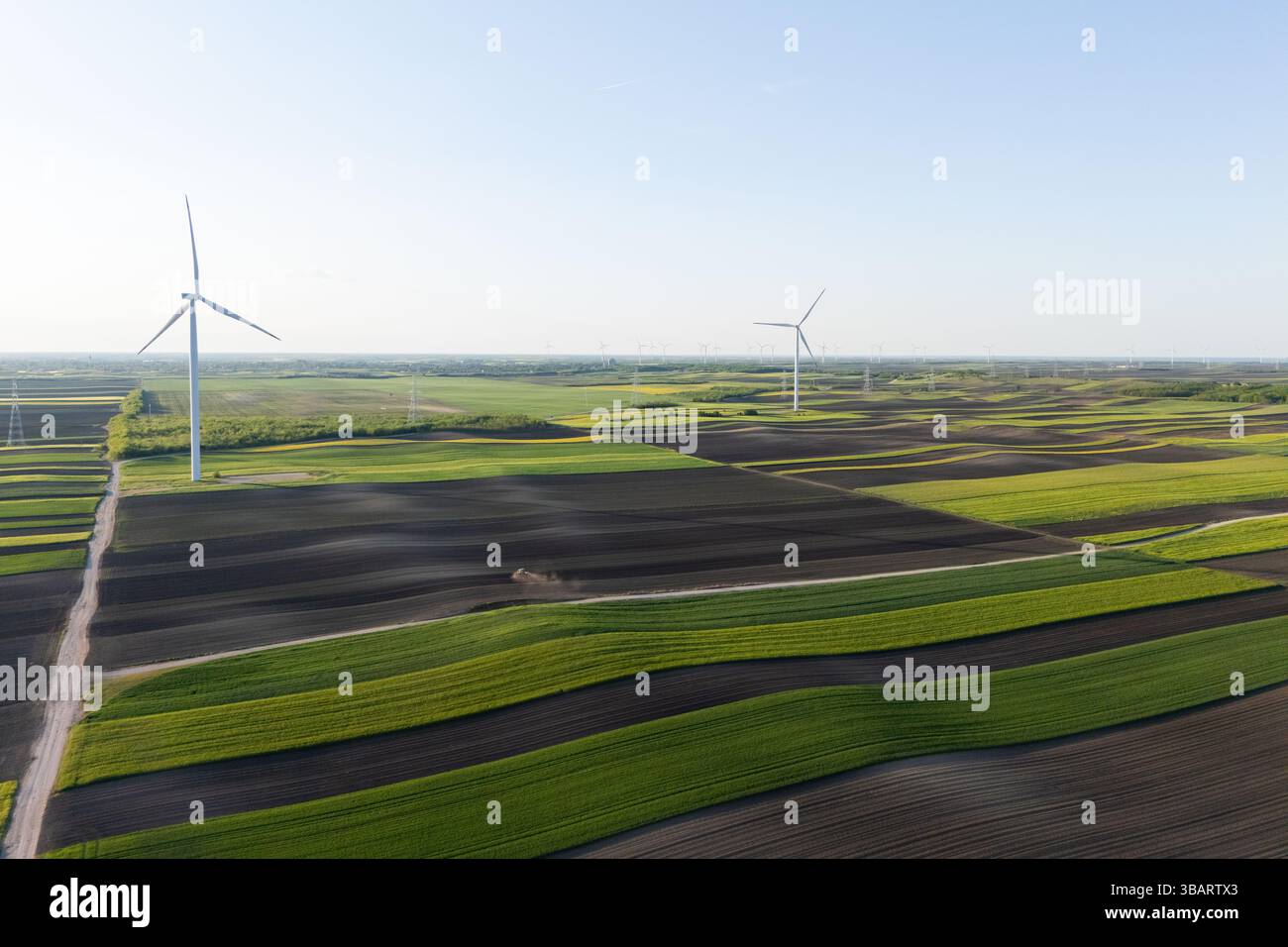 Luftaufnahme von Windturbinen auf einem landwirtschaftlichen Feld. Nachhaltige Energie... Stockfoto