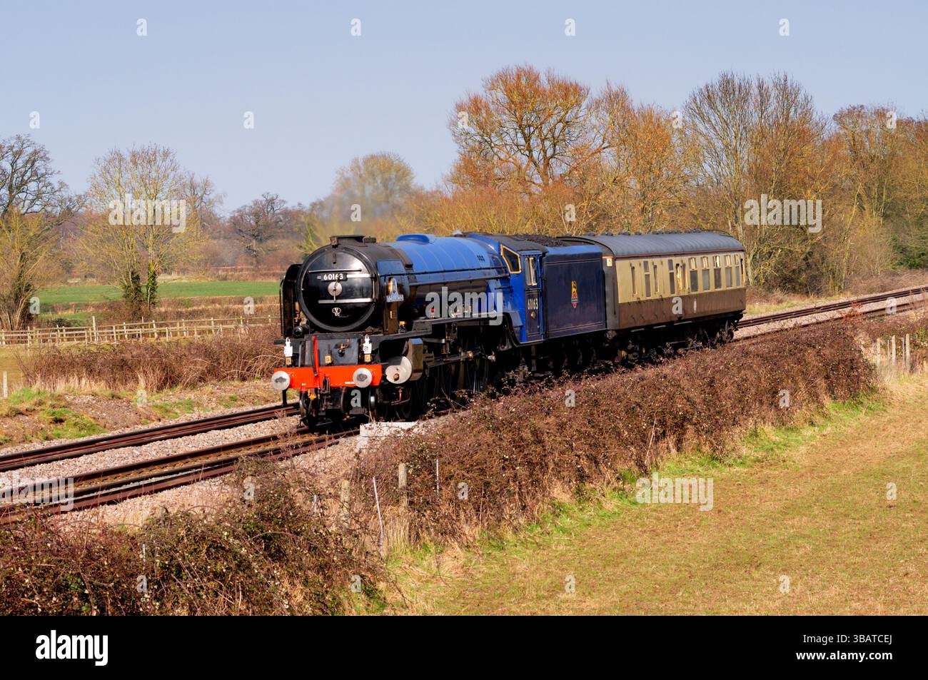 Die Dampflokomotive Nr. 60163 Tornado der neuen Bauklasse A1 pacific, die Langley Crossing bei Chippenham auf einem Testlauf vorbeifährt, hier in BR-blauer Lackierung zu sehen. Stockfoto