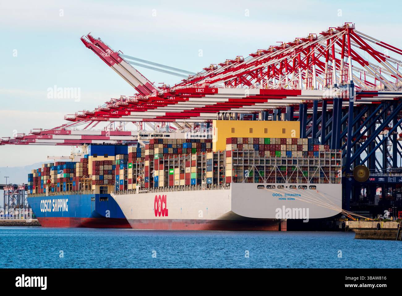 Zwei große Containerschiffe, voll beladen, sind unter massiven Kränen im Hafen von Long Beach, Kalifornien angedockt. Einer ist blau und sagt Cosco Shippi Stockfoto