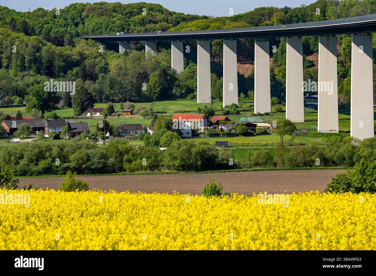 Die Mintarderbrücke, Autobahnbrücke über das Ruhrgebiet zwischen Essen-Kettwig und Mülheim an der Ruhr, Frühling, Rapsfelder in voller Blüte, Nordrhein- Stockfoto