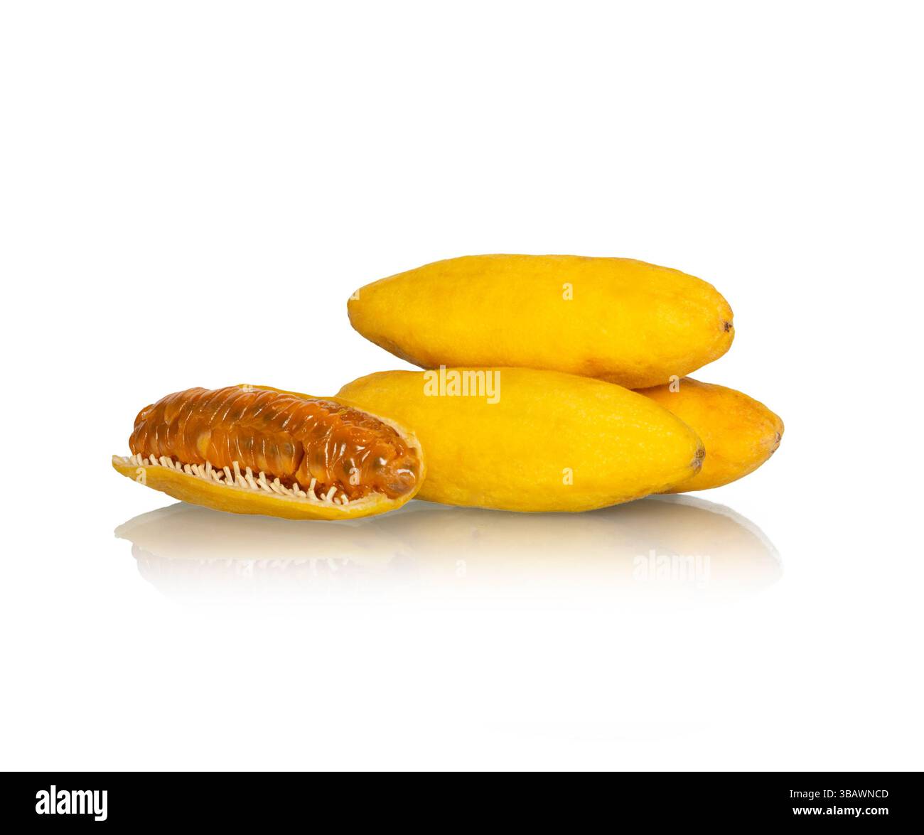 Bananen-Passionsfrucht auf weißem Hintergrund Stockfoto