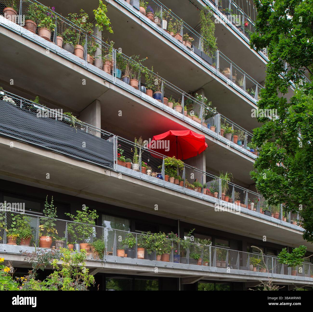 10.06.2024, Deutschland, Berlin, Berlin - Wohnbau mit Balkonen, Pflanztöpfen und rotem Sonnenschirm in der E.T.A.-Hoffmann-Promenade in Berlin-Kr Stockfoto