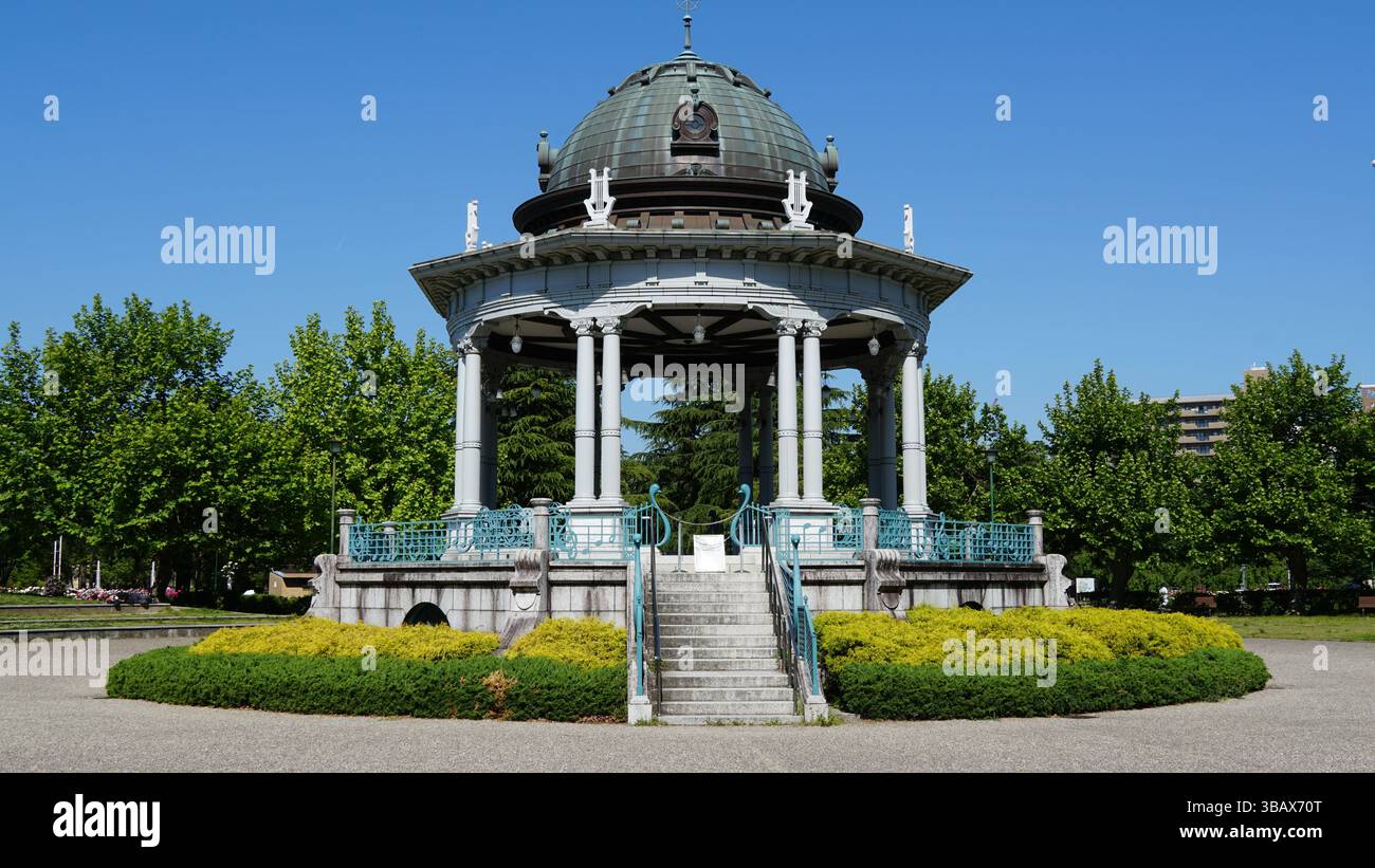 Ein Garten der Rosen: Eine atemberaubende Anzeige von Farben und Düften Stockfoto