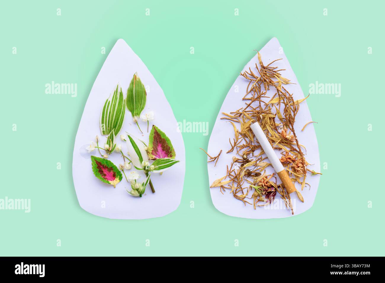 Werben Sie für eine rauchfreie Welt mit Grafiken für die Kampagnen „World No Smoking Day“, „World Lung Cancer Day“ und „World No Tobacco Free“. Stockfoto