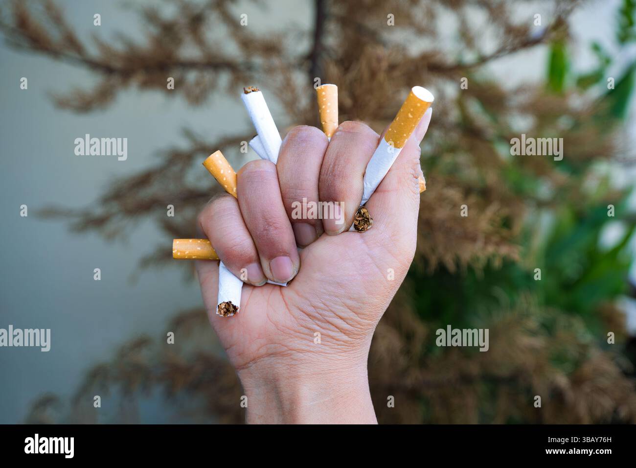 Werben Sie für eine rauchfreie Welt mit Grafiken für die Kampagnen „World No Smoking Day“, „World Lung Cancer Day“ und „World No Tobacco Free“. Stockfoto