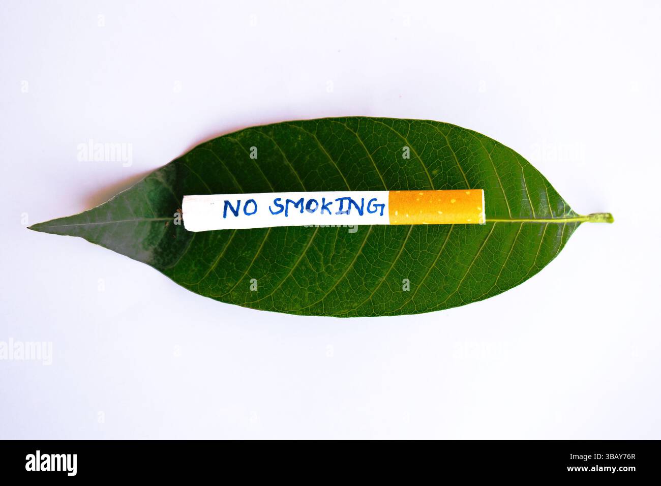 Werben Sie für eine rauchfreie Welt mit Grafiken für die Kampagnen „World No Smoking Day“, „World Lung Cancer Day“ und „World No Tobacco Free“. Stockfoto