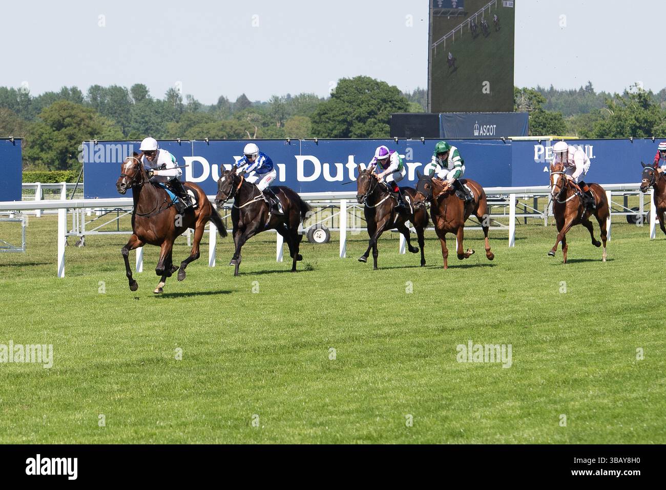 Ascot, Berkshire, Großbritannien. Mai 2025. Das Pferd MORROPHORE, das von Jockey Luke Catton geritten wurde, gewinnt die Handicap-Stakes der Mariner Systems Fillies in der Klasse 4 beim Peroni Nastro Azzurro 0,0% Victoria Cup Raceday auf der Ascot Racecourse in Ascot, Berkshire. Besitzer George Strawbridge, Trainer John & Thady Gosden, Newmarket, Züchter George Strawbridge. Quelle: Maureen McLean/Alamy Live News Stockfoto