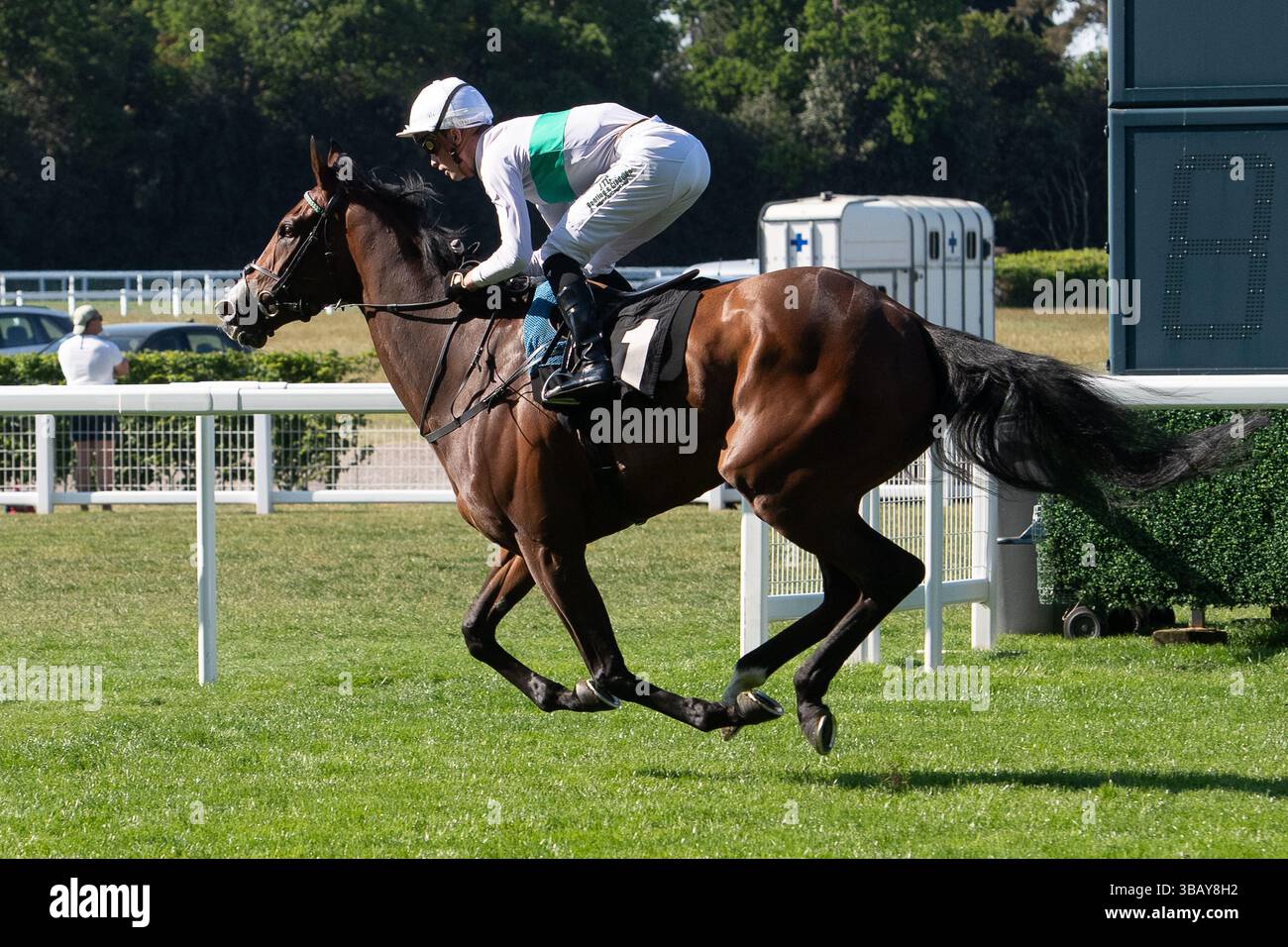 Ascot, Berkshire, Großbritannien. Mai 2025. Das Pferd MORROPHORE, das von Jockey Luke Catton geritten wurde, gewinnt die Handicap-Stakes der Mariner Systems Fillies in der Klasse 4 beim Peroni Nastro Azzurro 0,0% Victoria Cup Raceday auf der Ascot Racecourse in Ascot, Berkshire. Besitzer George Strawbridge, Trainer John & Thady Gosden, Newmarket, Züchter George Strawbridge. Quelle: Maureen McLean/Alamy Live News Stockfoto