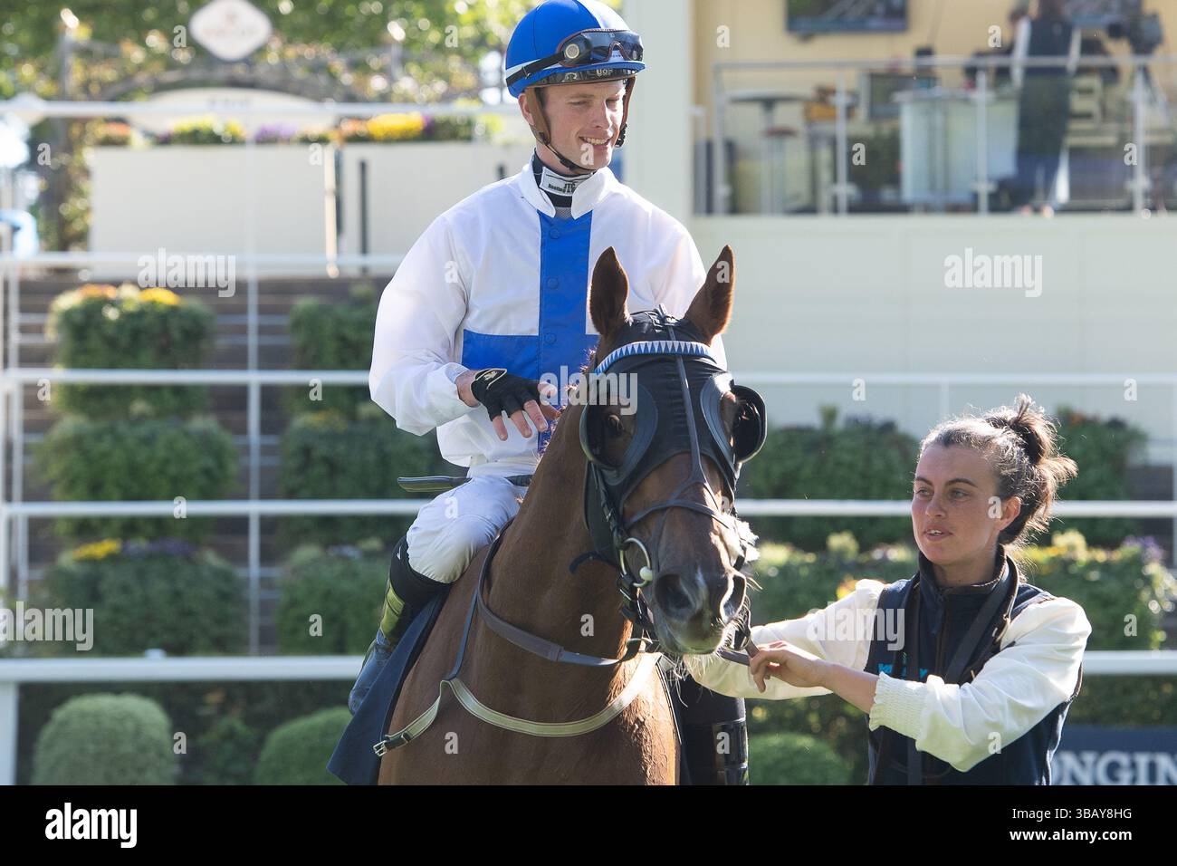 Ascot, Berkshire, Großbritannien. Mai 2025. Das Pferd NORTHCLIFF, geritten von Jockey Luke Catton, gewinnt den Peroni Nastro Azzurro 0,0% Blue Ribbon Handicap Stakes, Class 4, Div I GBB beim Peroni Nastro Azzurro 0,0% Victoria Cup Raceday auf der Ascot Racecourse in Ascot, Berkshire. Besitzerin Frau Danika Faulkner, Trainer Thomas Faulkner, Devauden, Züchter GCE Farm Ltd, Sponsor Valley Water Services Ltd Quelle: Maureen McLean/Alamy Live News Stockfoto