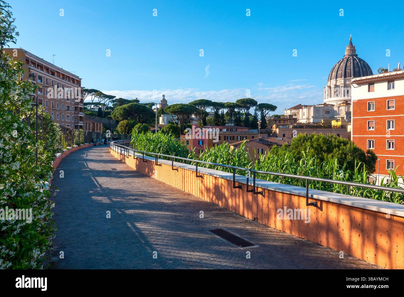 Die Passeggiata del Gelsomino ist ein mit Jasmin gesäumter Fußgängerweg in Rom, Italien, mit Blick auf den Petersdom. Stockfoto