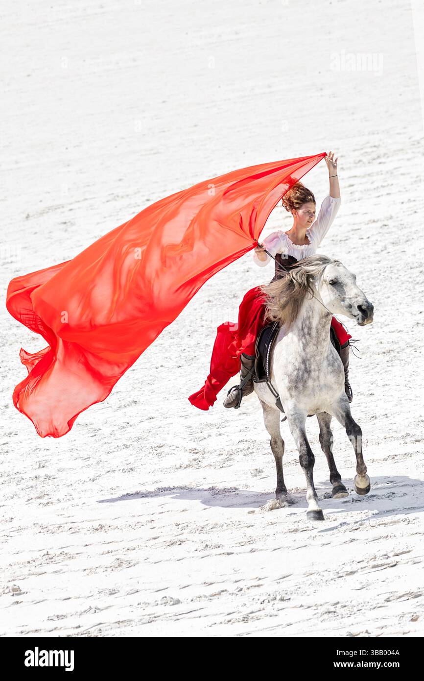 Reines Spanisches Pferd, Andalusier. Pura Raza Espanola, Andalusisch. Ein Reiter auf einem grauen Pferd während einer Veranstaltung, ohne Sattel und ohne Zaumzeug. Tschechische Republik Stockfoto