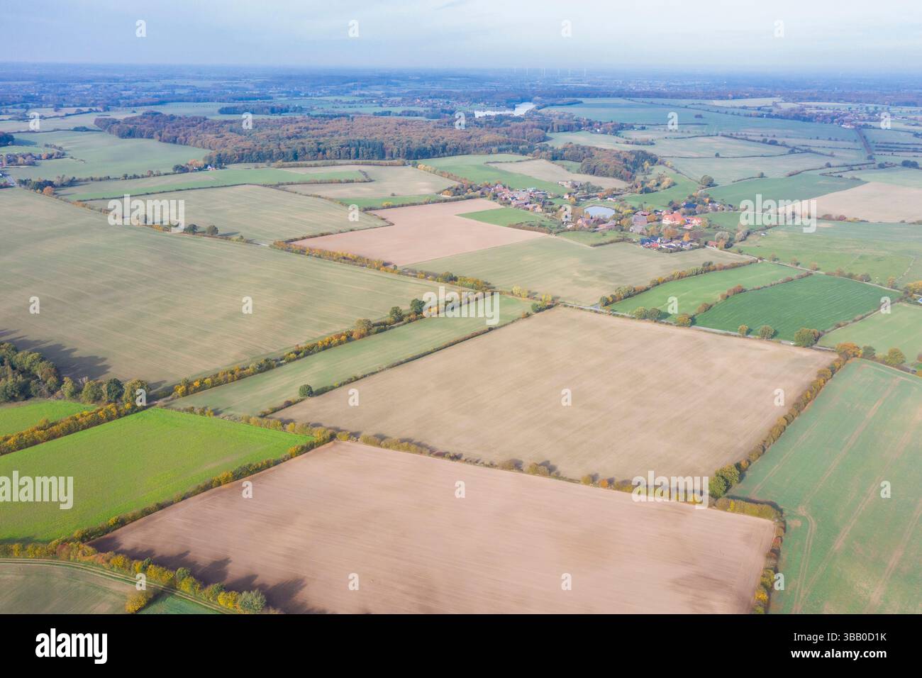 Luftaufnahme des landwirtschaftlichen Landschaft mit Feldern, Wiesen und Hecken, Schleswig-Holstein, Deutschland. Stockfoto