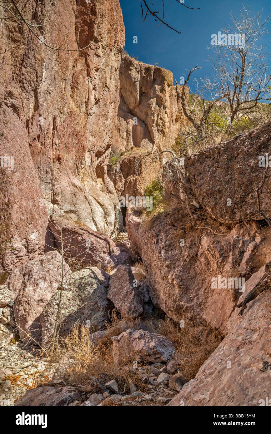 Rosafarbene Granitfelsen im Whitewater Canyon, Catwalk National Recreation Trail, Mogollon Mountains, in der Nähe von Glenwood, New Mexico, USA Stockfoto