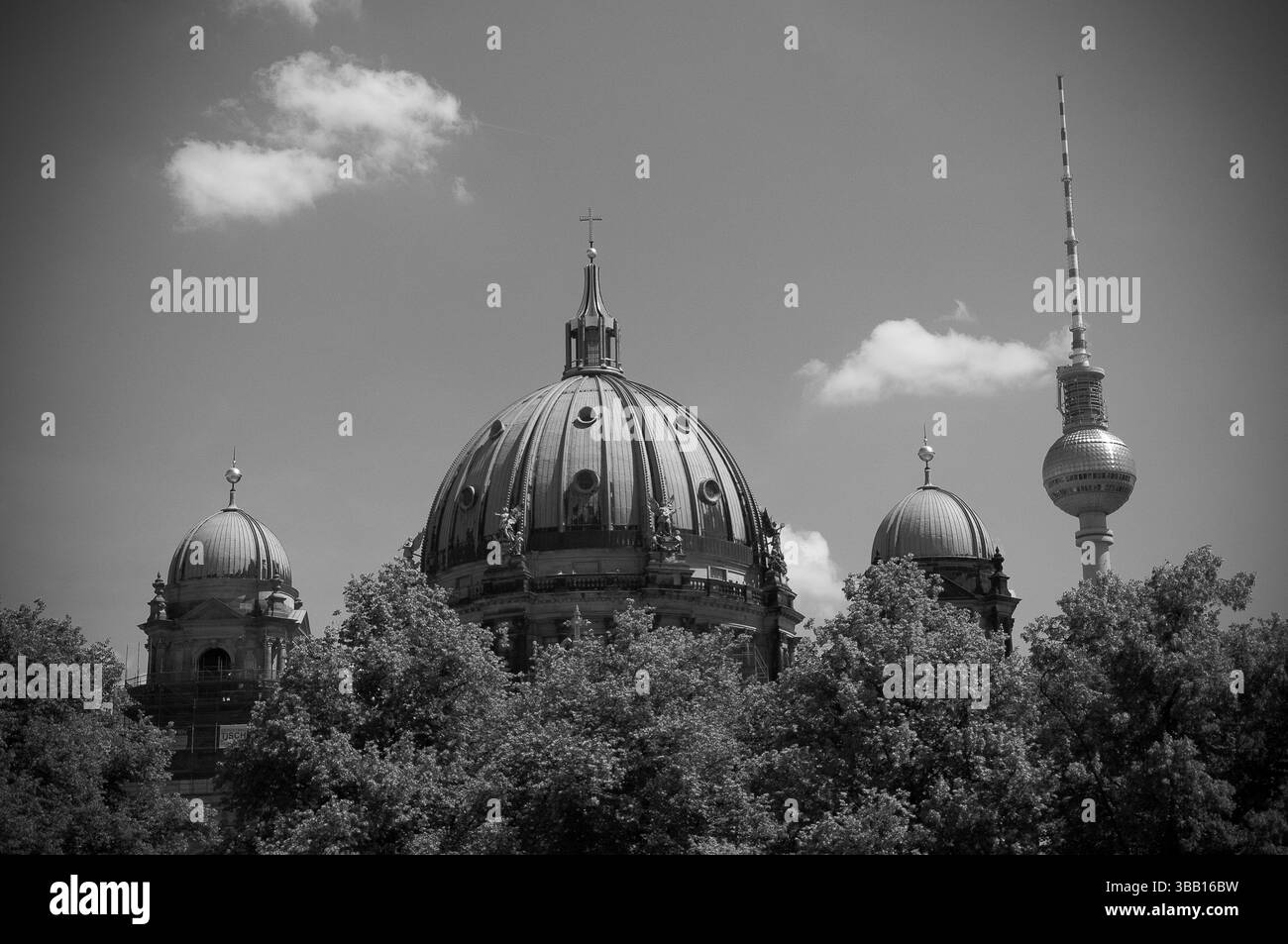 Blick auf Berlins berühmte Architektur mit Kuppeldächern und einem Fernsehturm, umgeben von lebhaftem Grün an einem bewölkten Tag. Stockfoto