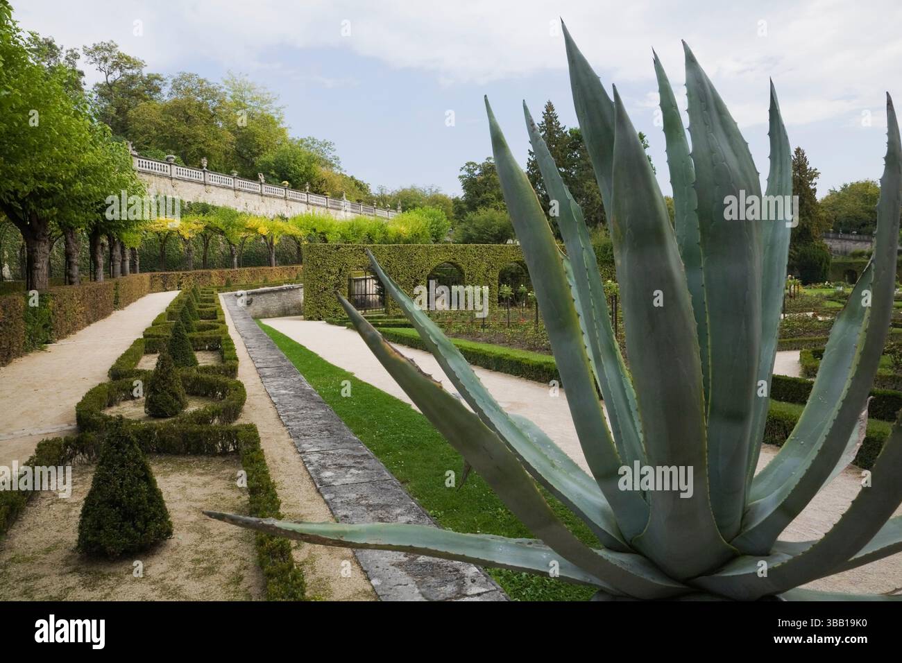 Wrzburg riese -Fotos und -Bildmaterial in hoher Auflsung  Alamy