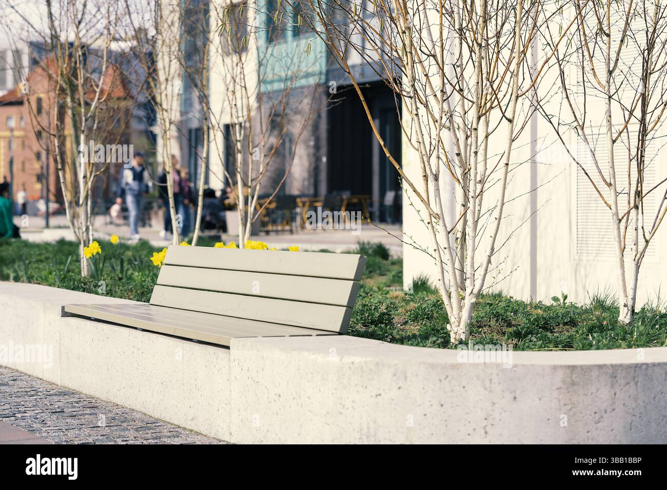 Eine Betonbank steht in einem pulsierenden Stadtpark, umgeben von Bäumen und blühenden Narzissen, während die Menschen an einem sonnigen Frühlingstag vorbeigehen Stockfoto