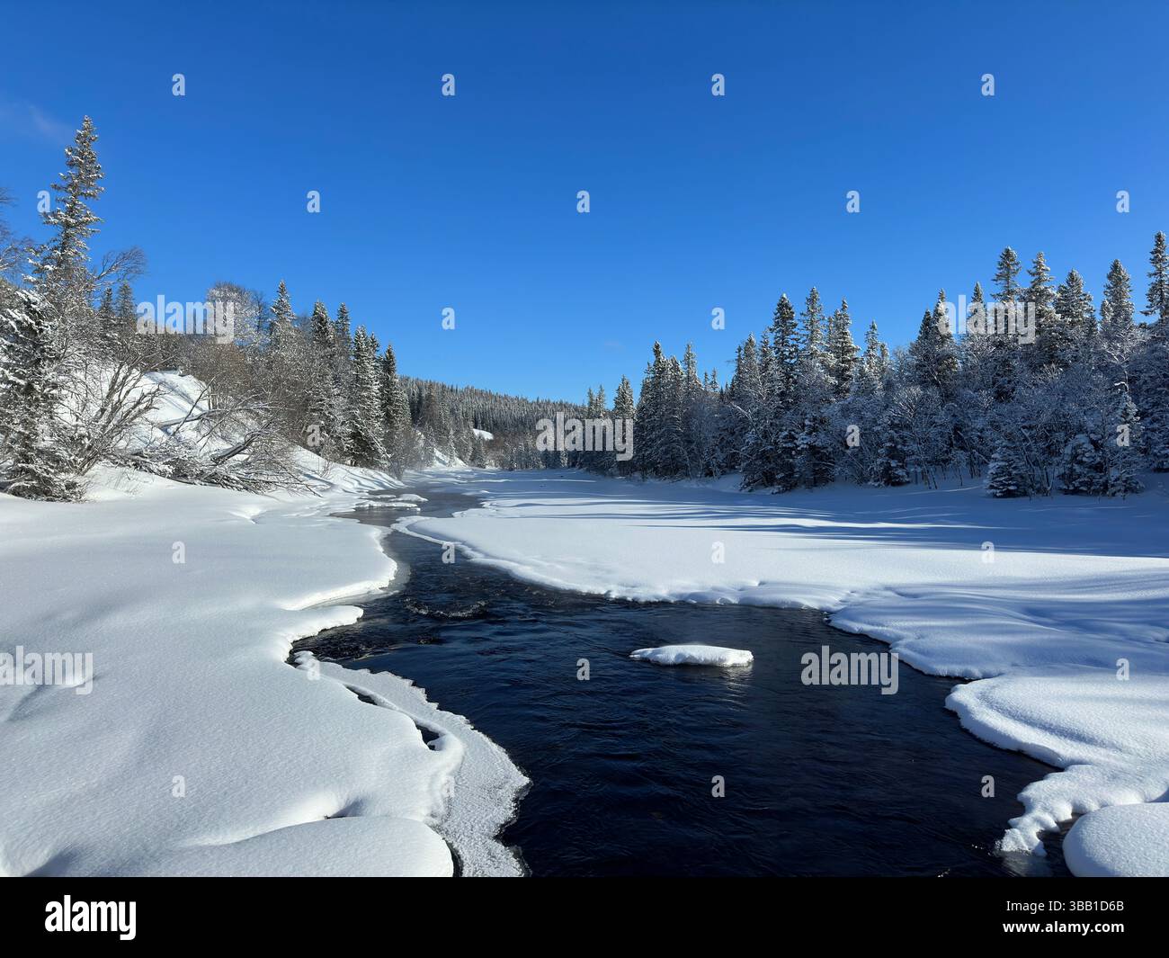 Winterszene mit einem Fluss, der durch einen schneebedeckten Wald fließt. Stockfoto