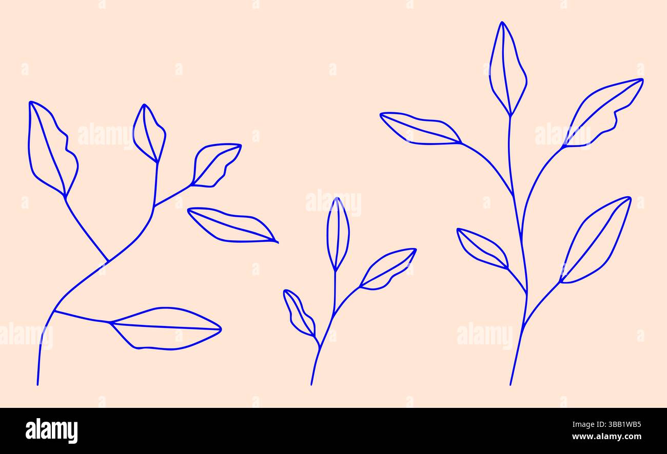 Satz von Hand gezeichneter Blatt Vektor Illustration, moderne Blätter Hand gezeichnet Lineart isoliert tropische Blatt grafische Elemente, Satz botanische Linie Kunst Blumen Stock Vektor