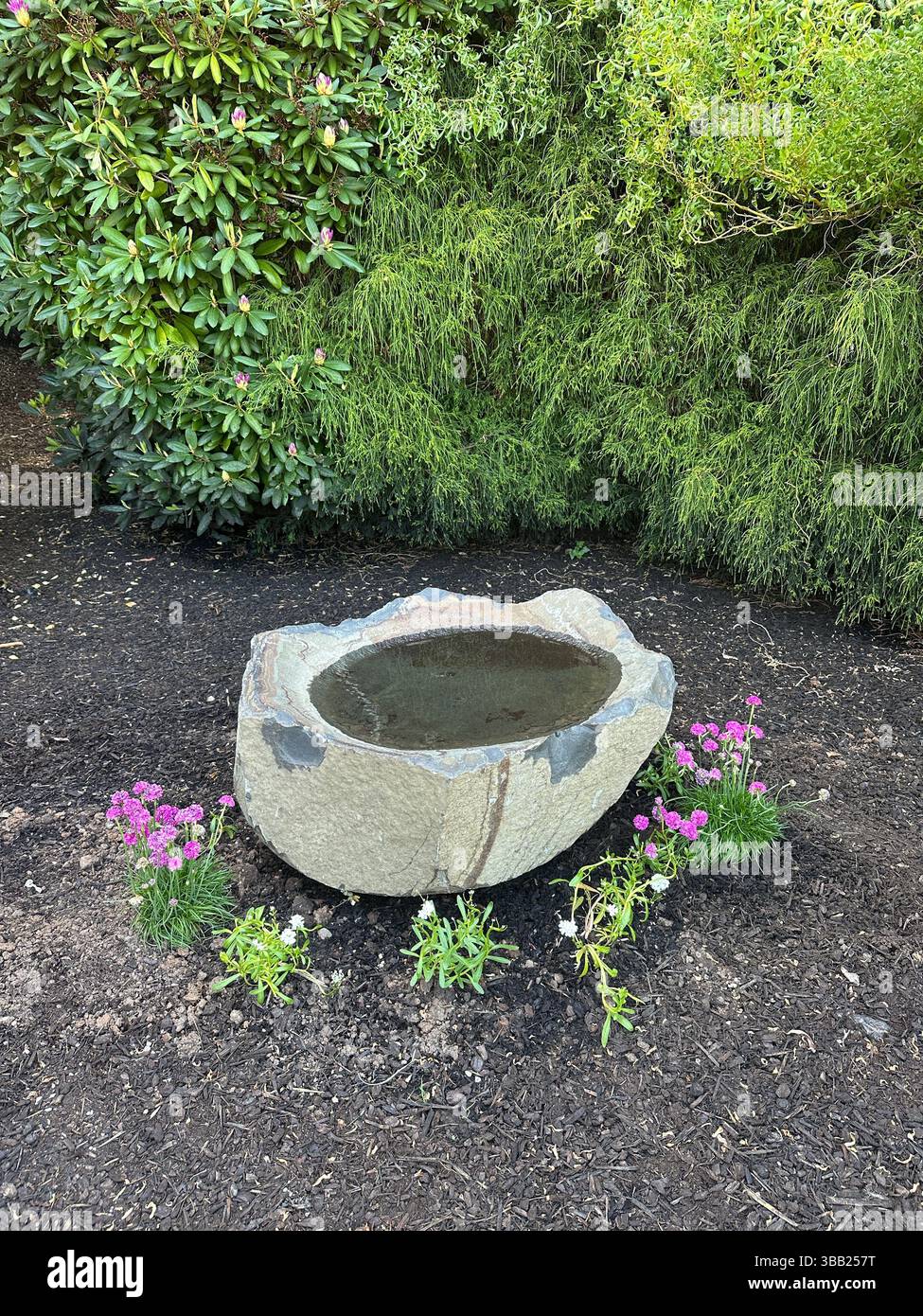 Ein wunderschöner Vogelbadefelsen, umgeben von einem Ring von Blumen - Süßigkeiten und Seeblick - in einem Garten eines Hauses. Stockfoto