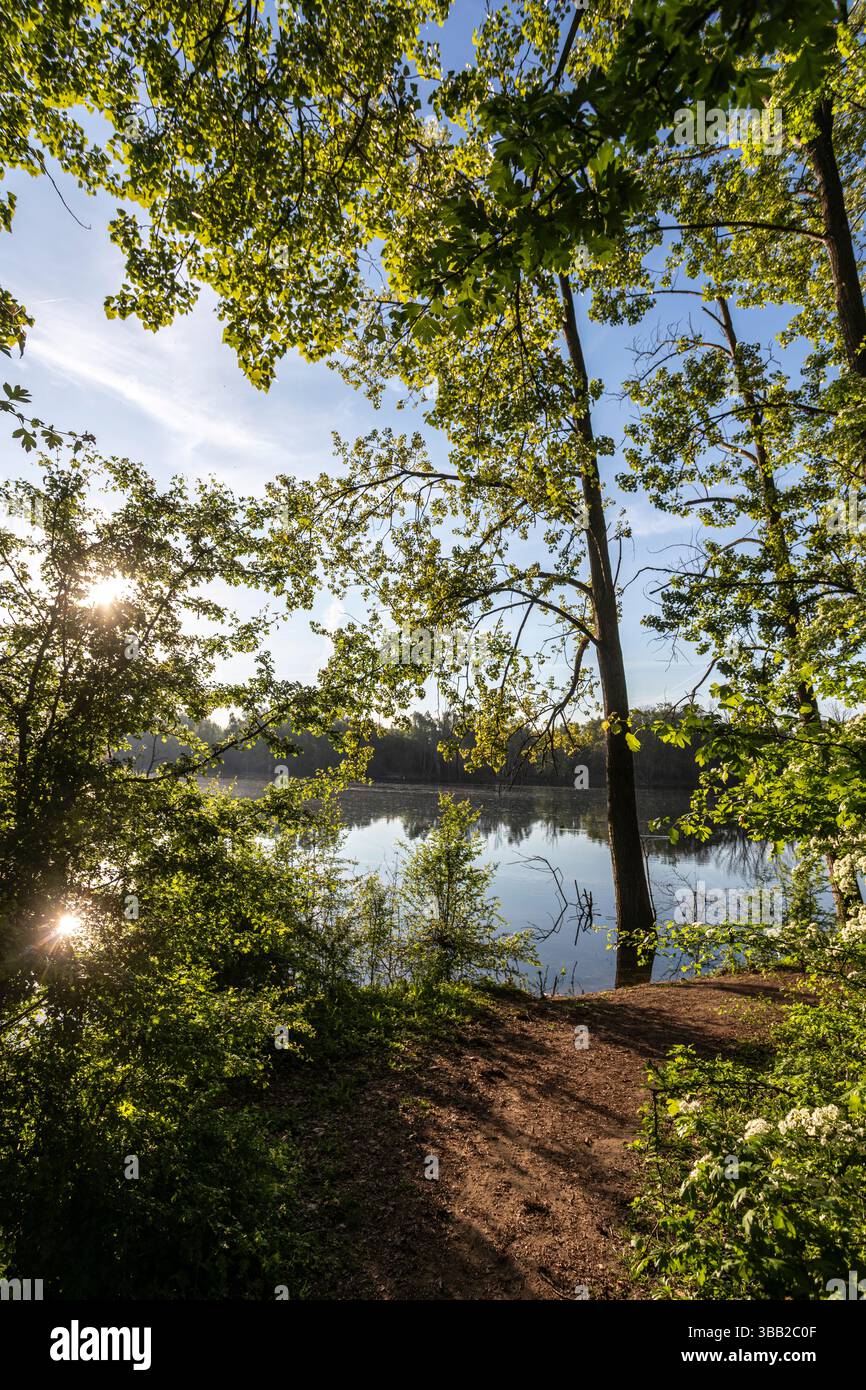 Auenlandschaft im Naturschutzgebiet Bislicher Insel Stockfoto