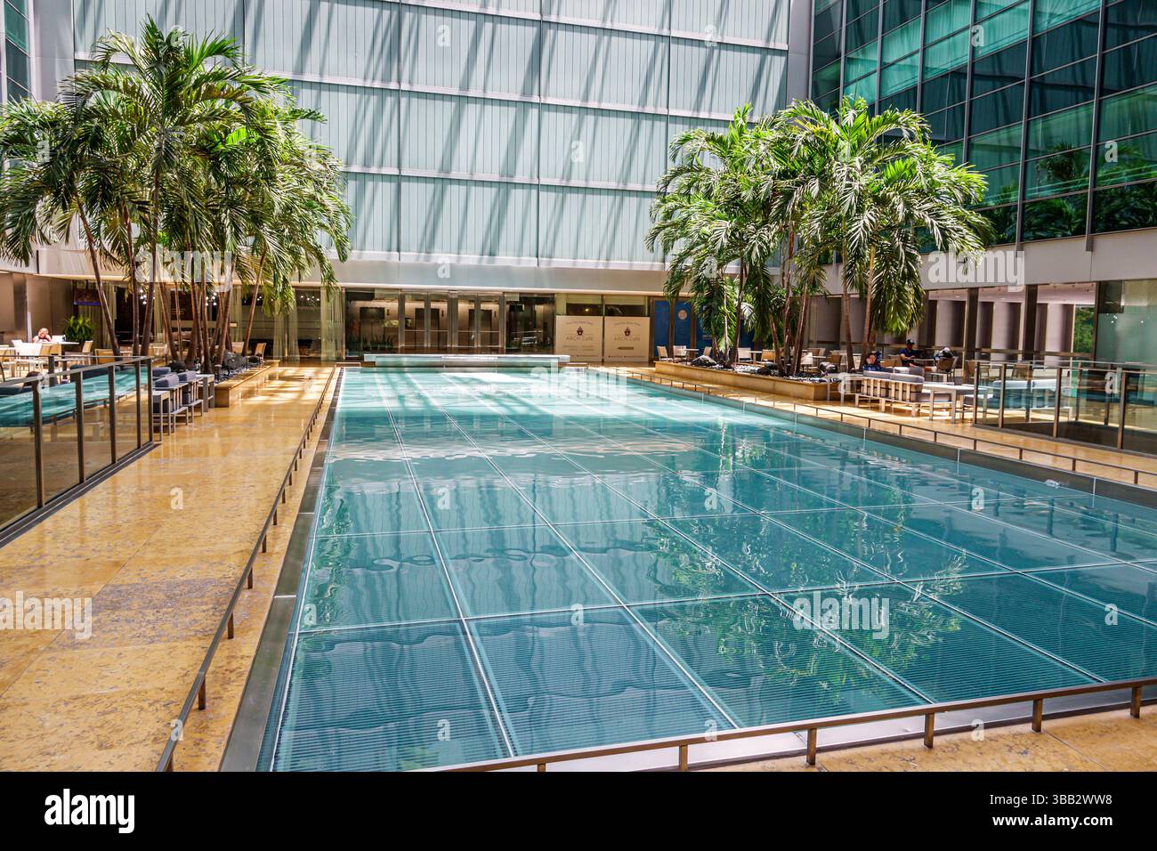 Miami Florida, Brickell Financial District, Brickell Avenue, Hotel AKA Brickell Arch, Inneres Lobby-Atrium, Glasdecke, Tageslicht, Palme Stockfoto