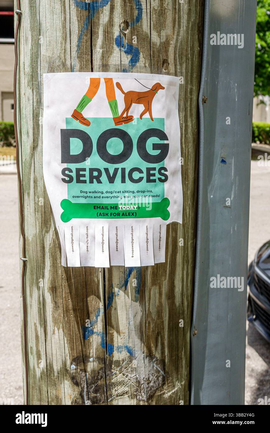 Miami Florida, Brickell Financial District, SW 1st Street, The Underline, Utility Pole Street Schild, lokaler Flyer für die Tierpflege, HUNDESERVICE Hinweis, HUNDESCHLITTENGEHEN ca. Stockfoto