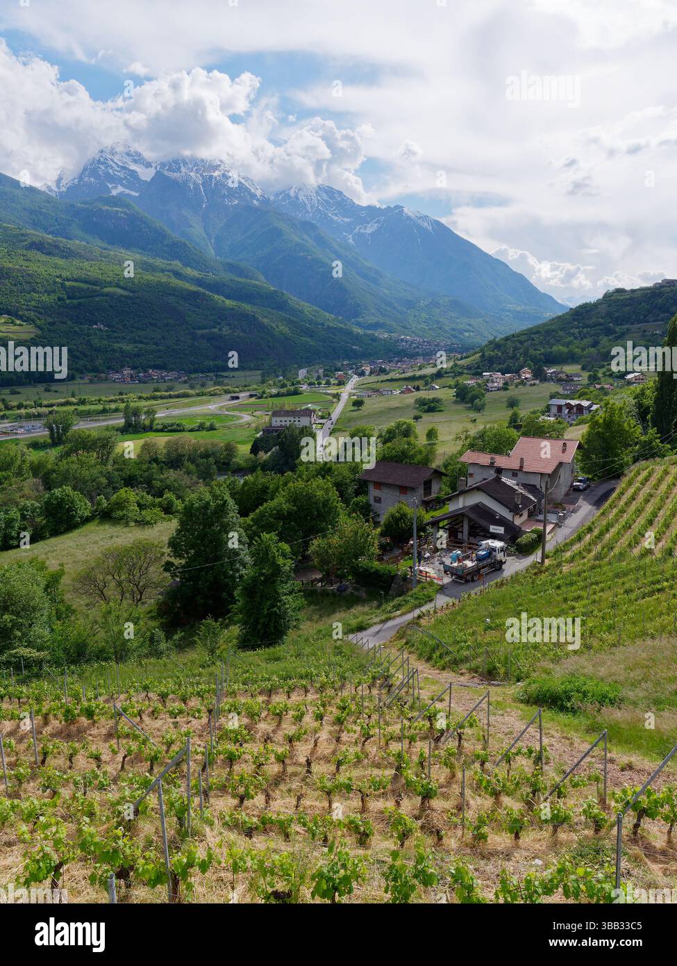 Steiler Weinberg in der Nähe von NUS mit Dorf darunter und alpinen Bergen dahinter im Aostatal, NW Italien. Mai 2025 Stockfoto