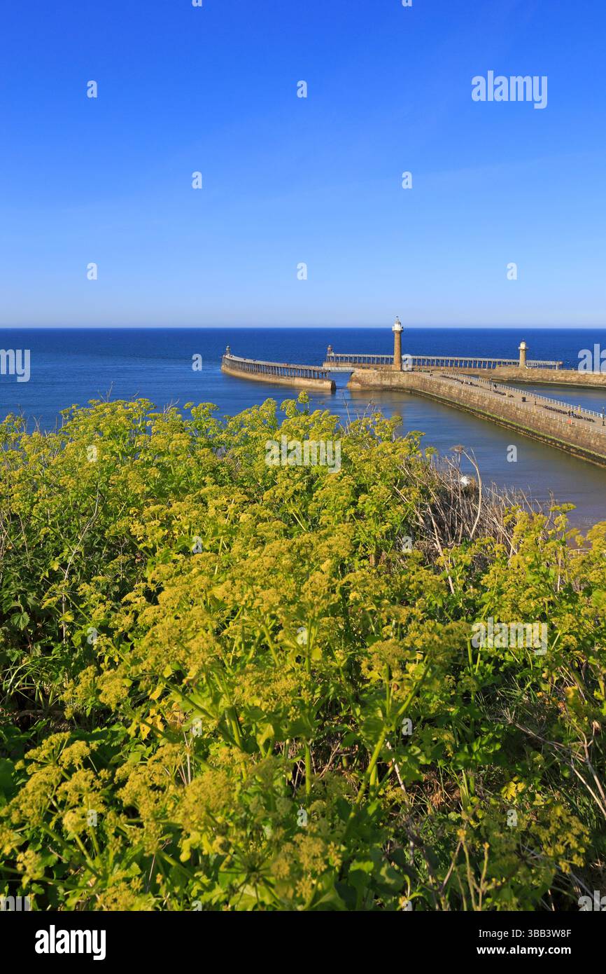 Whitby Harbour von West Cliff, North Yorkshire, England, Großbritannien. Stockfoto