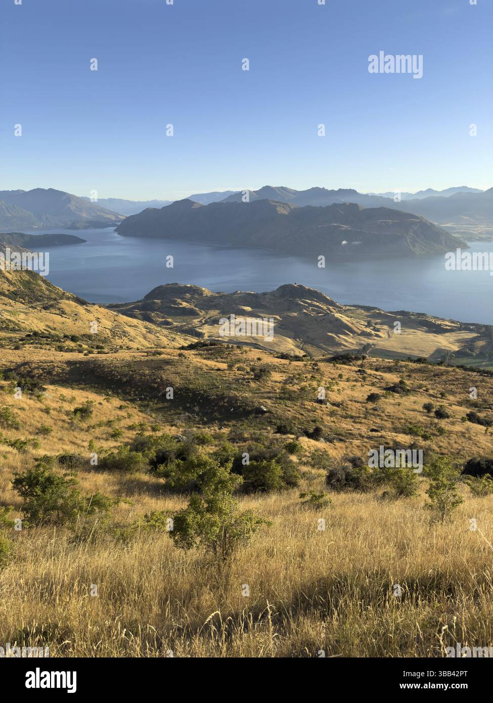 Wanderweg zum Roys Peak Lookout, Lake Wanaka, Wanaka, Südinsel, Neuseeland, Ozeanien Stockfoto