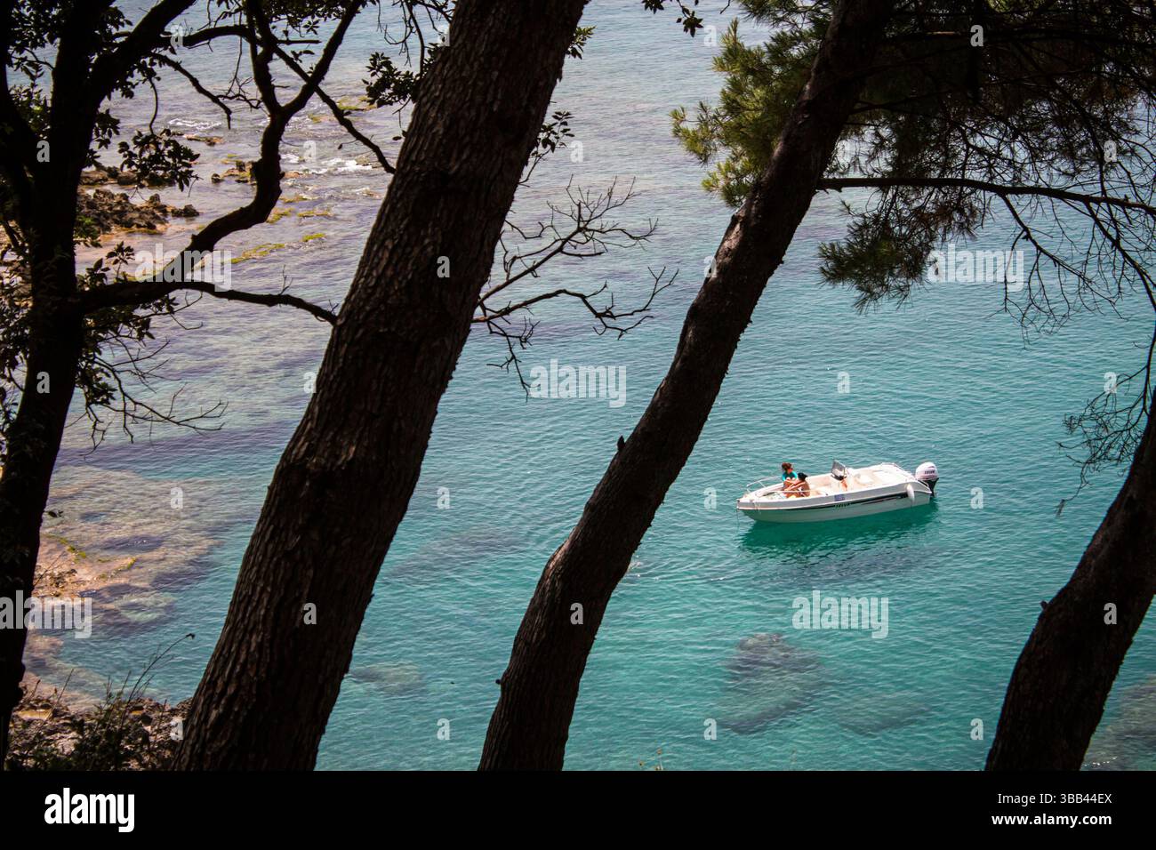 Weißes Boot auf türkisfarbenem Wasser in Maratea, umgeben von Kiefern und mediterraner Natur, an einem ruhigen Sommertag auf dem kristallklaren Meer Stockfoto